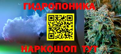 молекула духа Будённовск