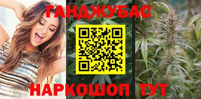 молекула духа Будённовск