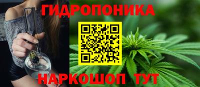 молекула духа Будённовск