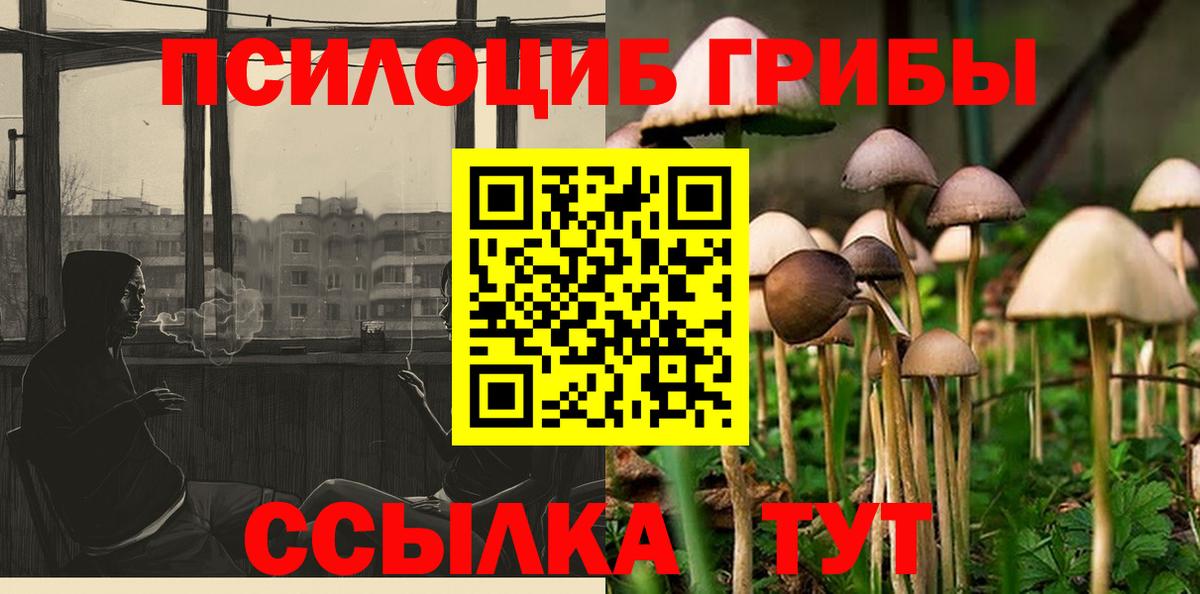 Галлюциногенные грибы Cubensis Нефтекумск
