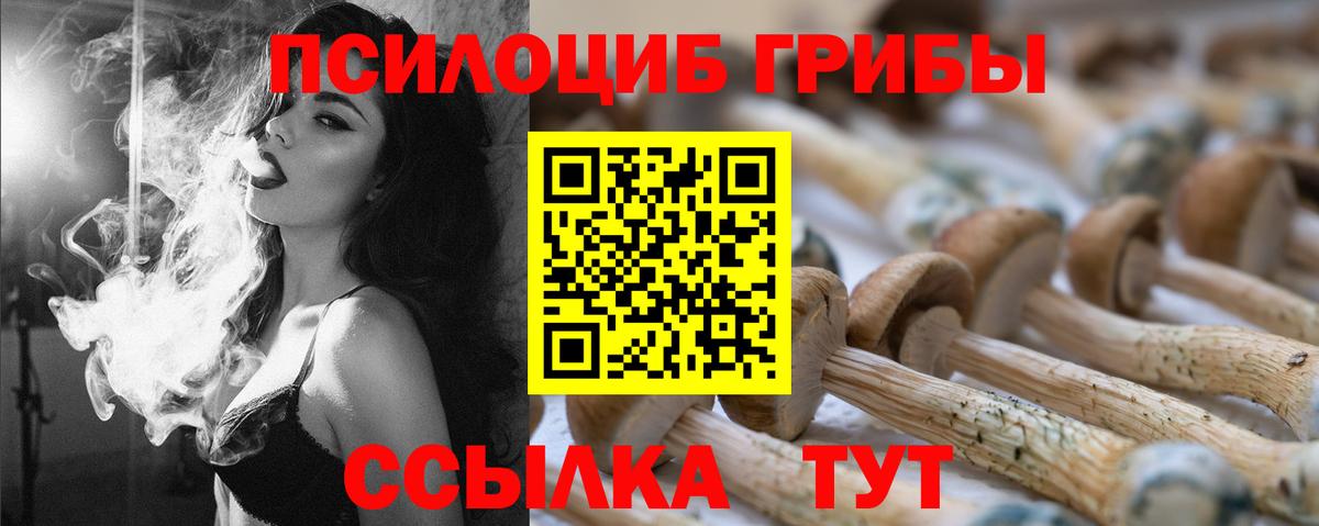 Нефтекумск  Псилоцибиновые грибы GOLDEN TEACHER  Вход с VPN  Галлюциногенные грибы MAGIC MUSHROOMS 